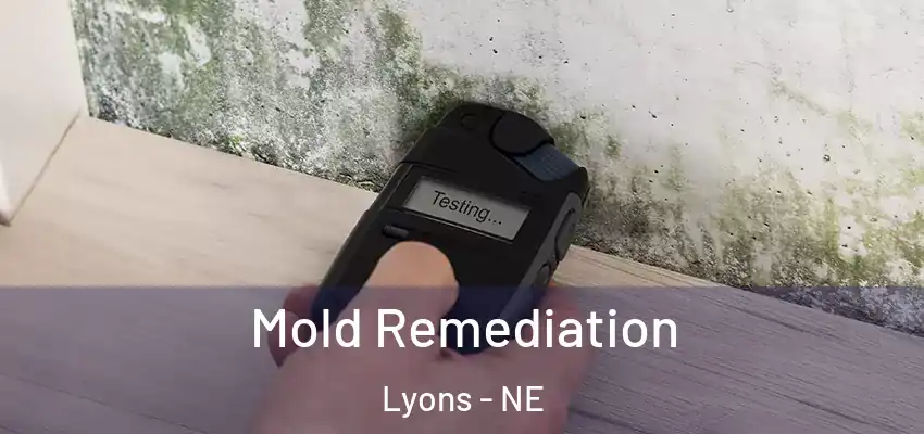 Mold Remediation Lyons - NE