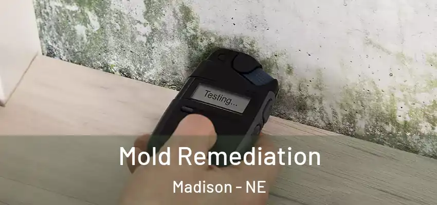  Mold Remediation Madison - NE