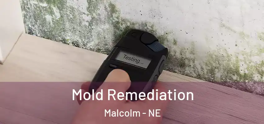  Mold Remediation Malcolm - NE