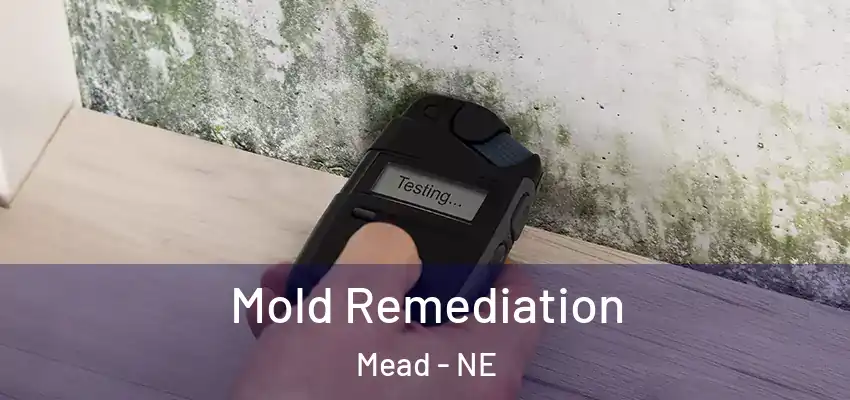 Mold Remediation Mead - NE