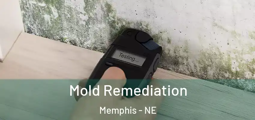  Mold Remediation Memphis - NE