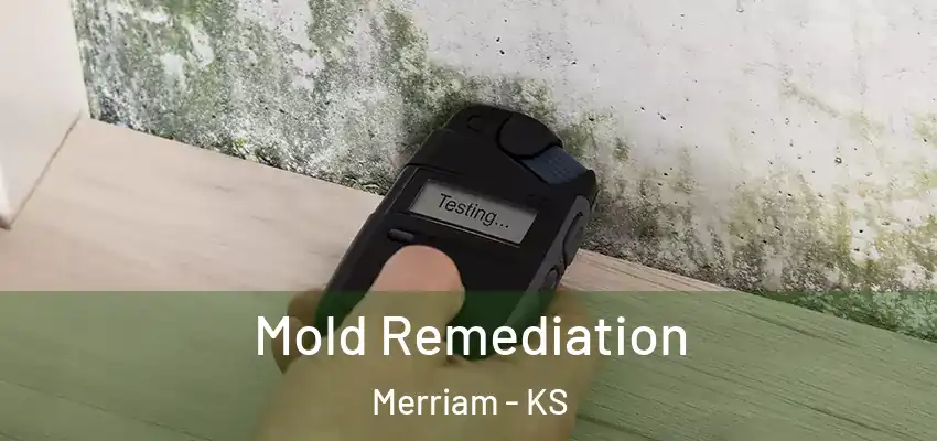  Mold Remediation Merriam - KS