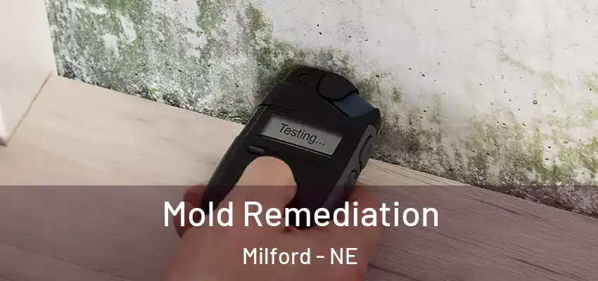  Mold Remediation Milford - NE
