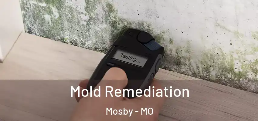  Mold Remediation Mosby - MO
