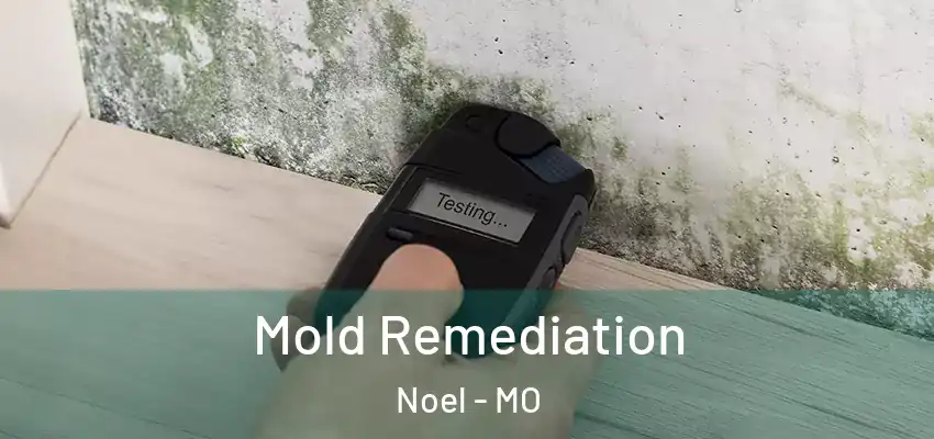 Mold Remediation Noel - MO