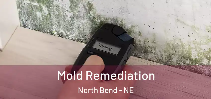  Mold Remediation North Bend - NE
