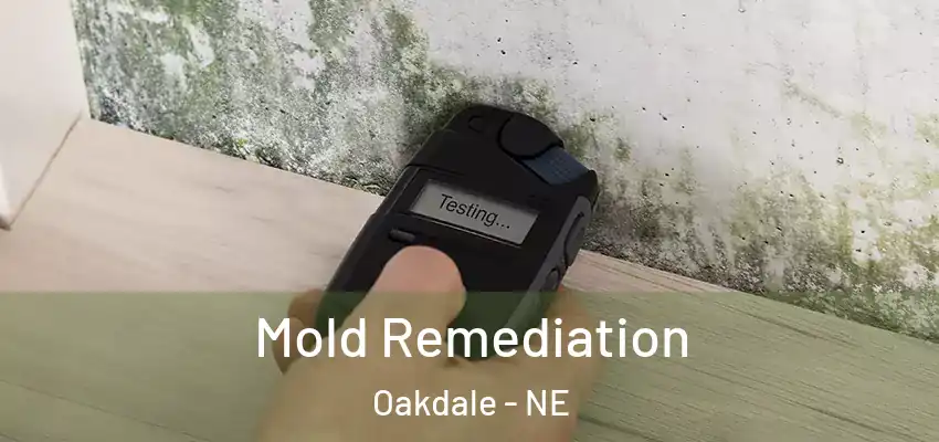 Mold Remediation Oakdale - NE