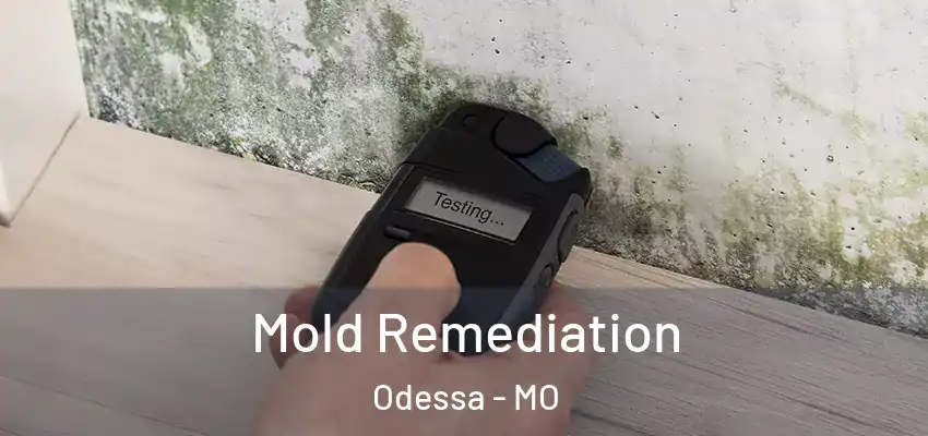  Mold Remediation Odessa - MO