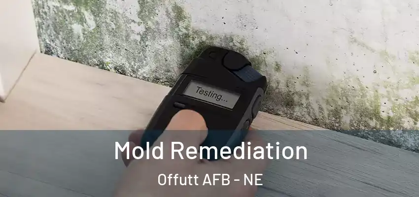 Mold Remediation Offutt AFB - NE