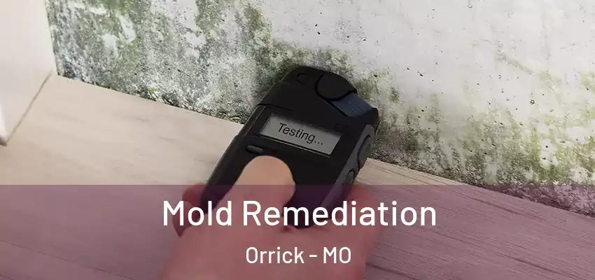 Mold Remediation Orrick - MO
