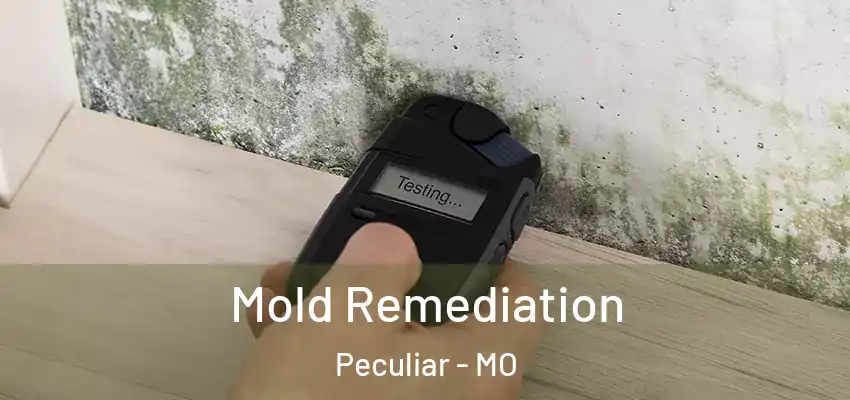  Mold Remediation Peculiar - MO