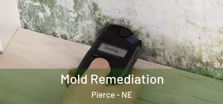  Mold Remediation Pierce - NE