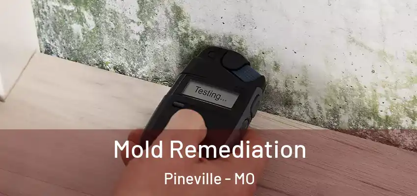  Mold Remediation Pineville - MO