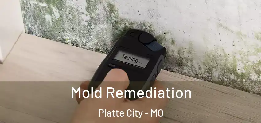  Mold Remediation Platte City - MO