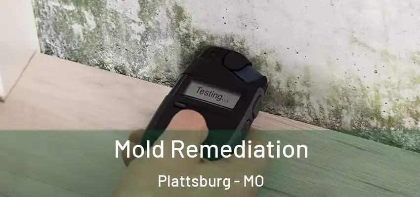  Mold Remediation Plattsburg - MO