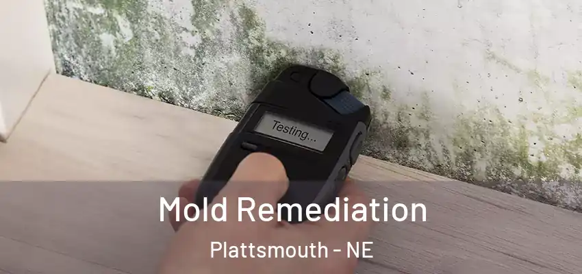  Mold Remediation Plattsmouth - NE