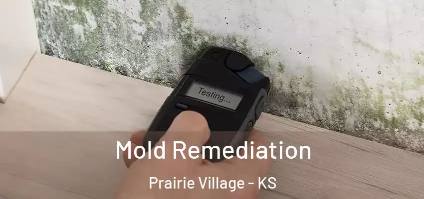  Mold Remediation Prairie Village - KS