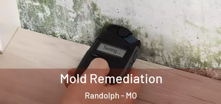  Mold Remediation Randolph - MO
