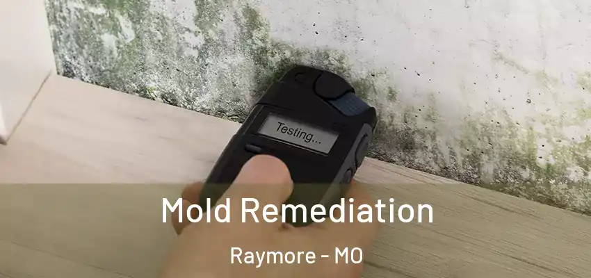 Mold Remediation Raymore - MO