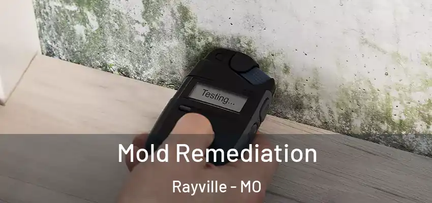  Mold Remediation Rayville - MO