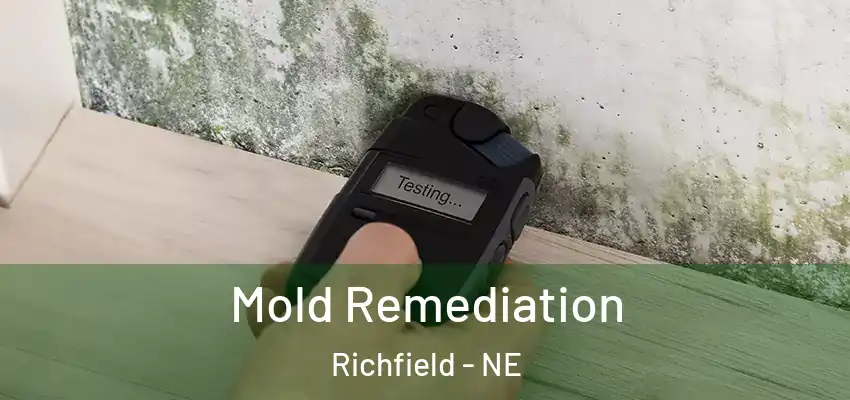  Mold Remediation Richfield - NE