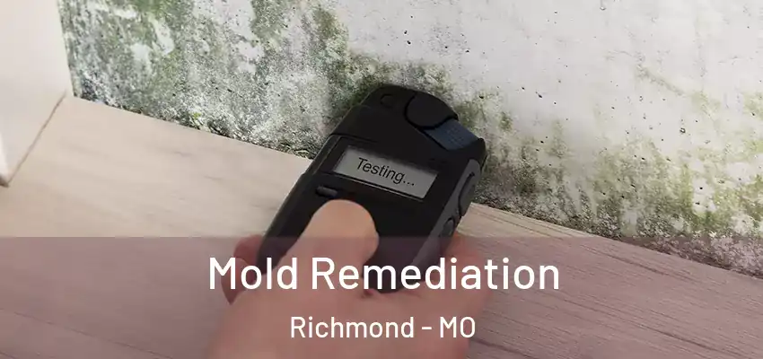  Mold Remediation Richmond - MO