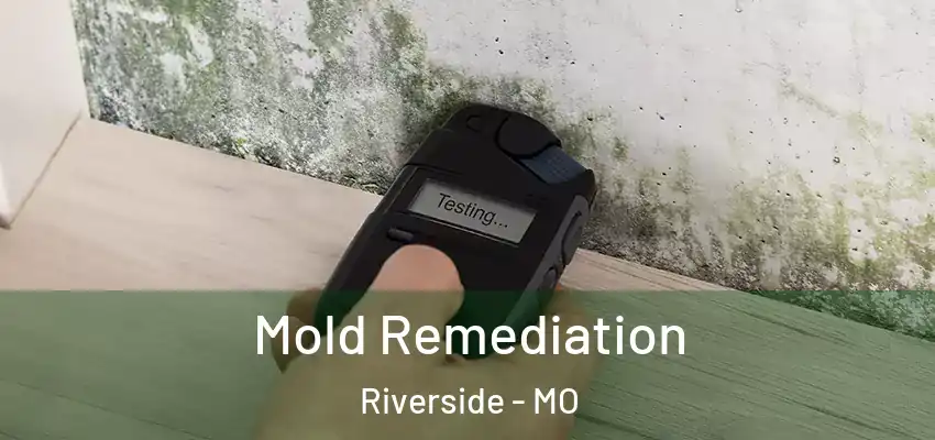 Mold Remediation Riverside - MO