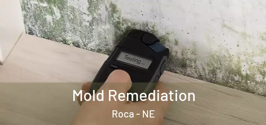  Mold Remediation Roca - NE