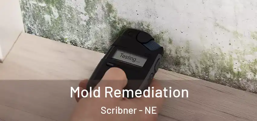  Mold Remediation Scribner - NE