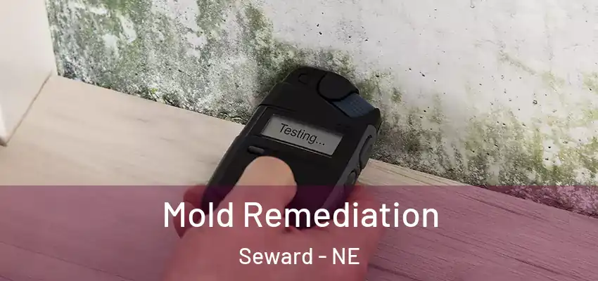  Mold Remediation Seward - NE
