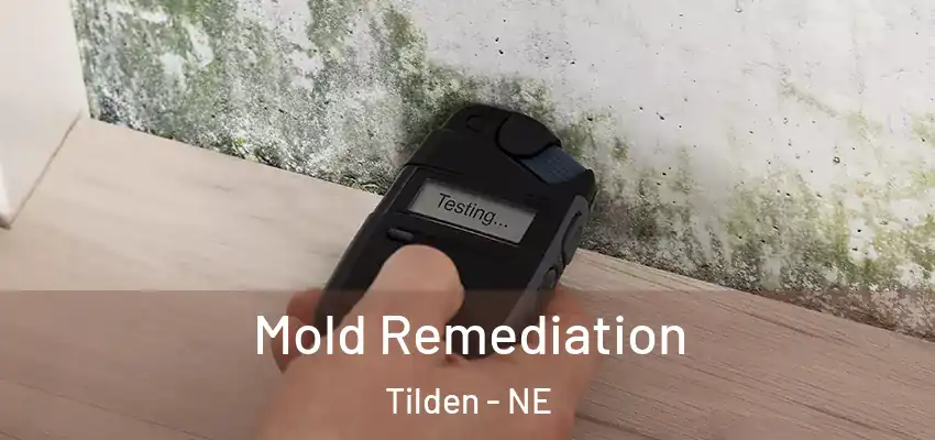 Mold Remediation Tilden - NE