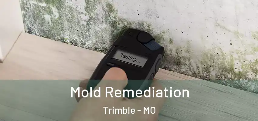 Mold Remediation Trimble - MO