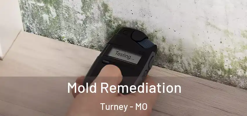  Mold Remediation Turney - MO