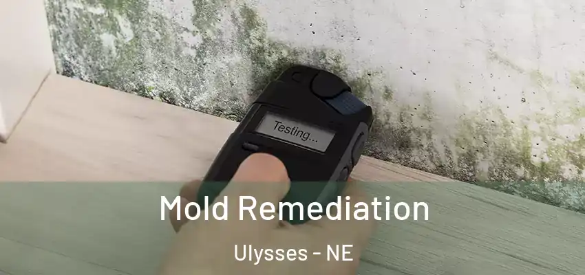  Mold Remediation Ulysses - NE