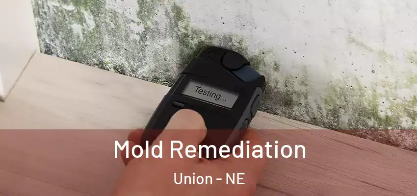  Mold Remediation Union - NE