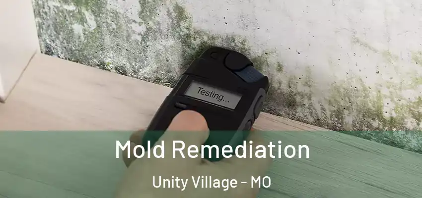 Mold Remediation Unity Village - MO