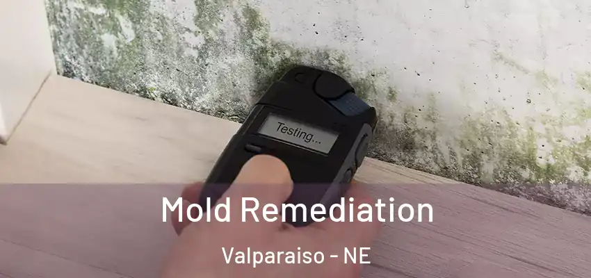  Mold Remediation Valparaiso - NE