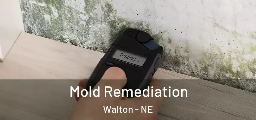 Mold Remediation Walton - NE