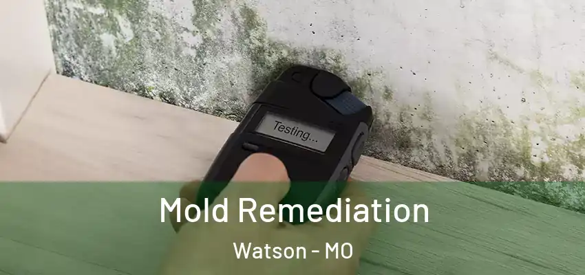 Mold Remediation Watson - MO