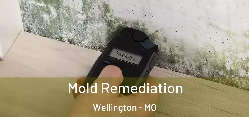 Mold Remediation Wellington - MO