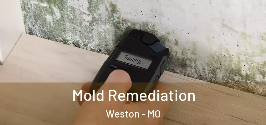  Mold Remediation Weston - MO