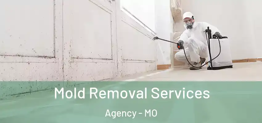  Mold Removal Services Agency - MO