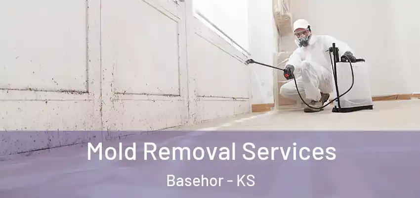  Mold Removal Services Basehor - KS