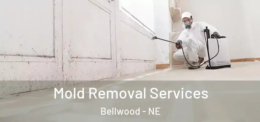  Mold Removal Services Bellwood - NE