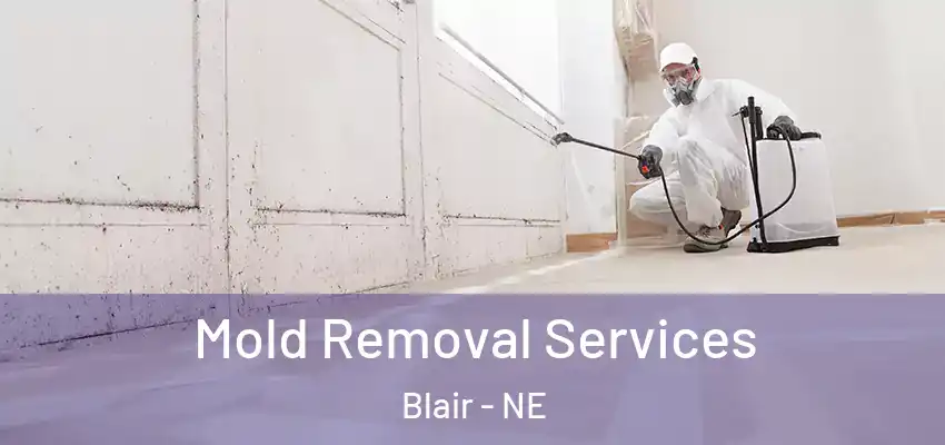 Mold Removal Services Blair - NE