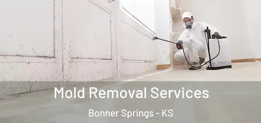  Mold Removal Services Bonner Springs - KS