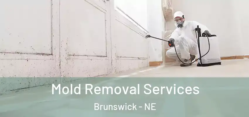  Mold Removal Services Brunswick - NE