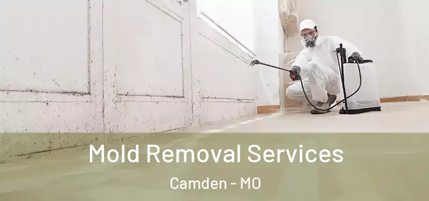  Mold Removal Services Camden - MO