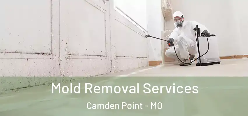  Mold Removal Services Camden Point - MO