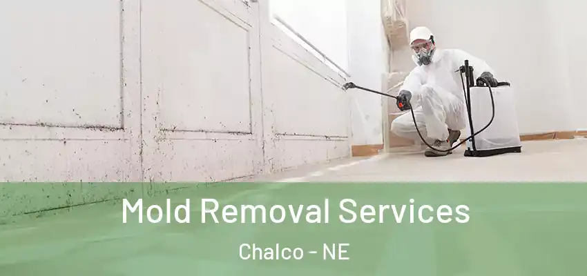  Mold Removal Services Chalco - NE